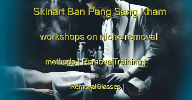 Skinart Ban Pang Sang Kham workshops on niche removal methods | RemovalTraining | RemovalClasses | SkinartTraining-Thailand